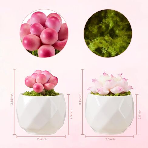 Set of 2 Artificial Succulent Plants Potted - Small Fake Succulents Handmade for Home Decor, Pink Desk Accessories, Dorm Decor in Saudi Arabia