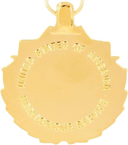 Meritorious Service (MSM) Medal Anodized in Saudi Arabia