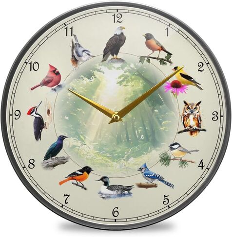 Cat Wall Clock Battery Operated Desk Clock, 12 inch Silent Non Ticking Acrylic Wall Clocks for Bedroom Living Room Office Classroom Kitchen Decor in Saudi Arabia