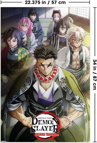 Trends International Demon Slayer: Hashira Training - Key Art 1 Wall Poster, 34L x 22.4W, Unframed Version in Saudi Arabia