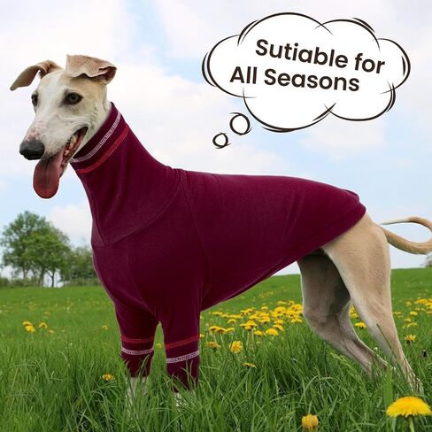 Greyhound Dog Sweater, Italian Greyhound Coat for Medium Dogs, Whippet Pullover Turtleneck Stretchy Knit Sweatshirt, Greyhound Thermal Clothes Pajamas Sighthounds Jumpsuit for Cold Weather M in Saudi Arabia