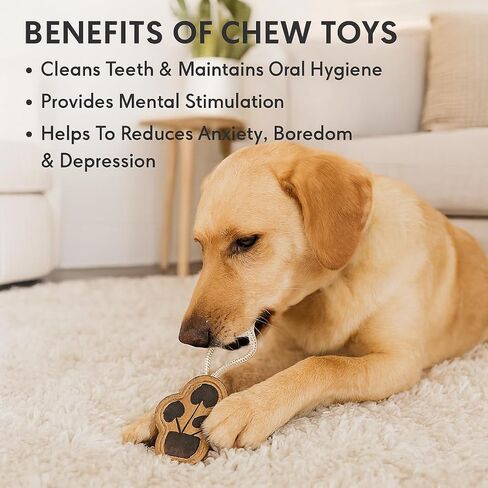 Natural Suede Leather Chew Toy for Adult Dogs, Puppies, | Tough, Durable, and Fun | Chewing Interactive Pet Toy (Owl Shape) in Saudi Arabia