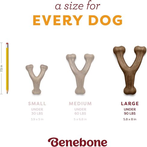 Benebone Pumpkin Spice Wishbone – Limited Edition Flavor, Durable Dog Chew Toy for Aggressive Chewers, Made in USA, Medium in Saudi Arabia