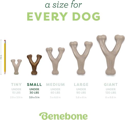 Benebone Pumpkin Spice Wishbone – Limited Edition Flavor, Durable Dog Chew Toy for Aggressive Chewers, Made in USA, Medium in Saudi Arabia