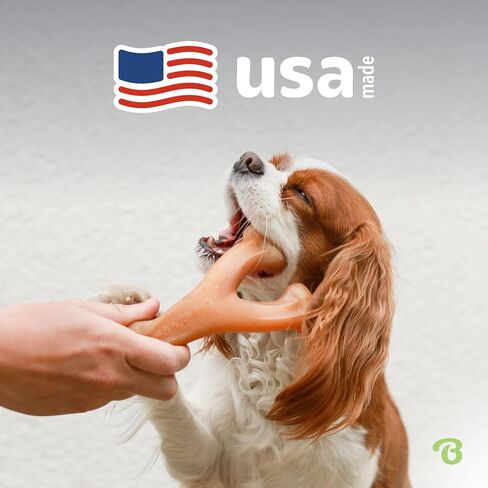 Benebone Pumpkin Spice Wishbone – Limited Edition Flavor, Durable Dog Chew Toy for Aggressive Chewers, Made in USA, Medium in Saudi Arabia