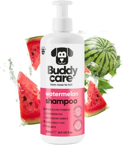 White Dog Shampoo by Buddycare | Brightening and Whitening Shampoo for Dogs | Deep Cleansing, Fresh Scented | with Aloe Vera and Pro Vitamin B5 (16.90oz) in Kuwait