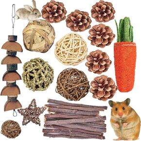 qhzhang الهامستر مضغ اللعب، 24pcs مجتمعة مضغ اللعب المولي العصي الحلو الخيزران التفاح فرع لعبة المولي للأرانب الحيوانات الأليفة شينشيلا السنجاب جربيل الهامستر السنجاب غينيا in Kuwait
