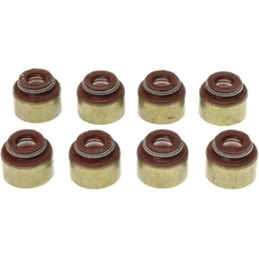 Victor Reinz SS45626 Engine Valve Stem Oil Seal Set in Saudi Arabia