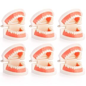 ZENFUN 6 Packs Dental Teeth Model, Dental Demonstration Model for Study, Standard Teeth Models, Plastic Mouth Model, Fake Mouth for Teaching, Dentist, Dental Students, Clean Display
