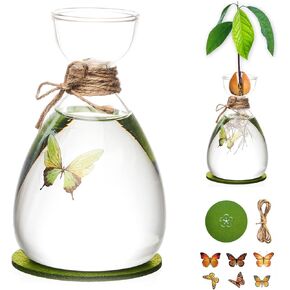Avocado Seed Vase,DIY Avocado Seed Starter Glass Vase with Absorbable Mat and Butterfly Stickers,Avocado Tree Growingredients Vase for Seed Gardening Gifts Sirensky Brand