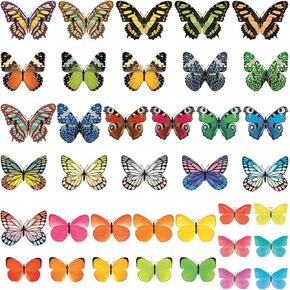 DECOWALL DS-8025 Vivid Butterflies Kids Wall Stickers Wall Decals Peel and Stick Removable Wall Stickers for Kids Nursery Bedroom Living Room (Small) d?cor