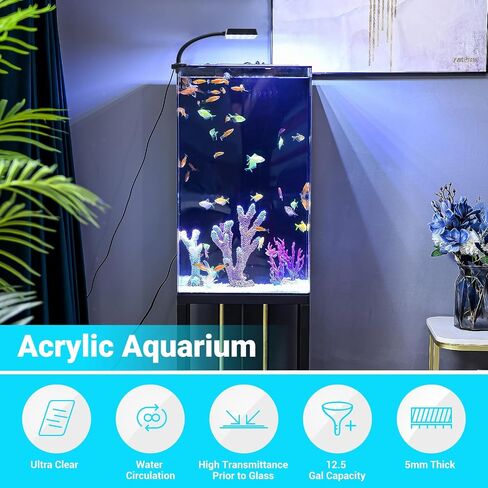 Aquadock 12 جالون حوض أسماك أكريليك مستطيل مع حامل وفلتر ومضخة ومصباح، مجموعة أسماك بيتا المبتدئة، مناظر طبيعية إبداعية صديقة للبيئة لديكور المنزل، والباحات وغرفة المعيشة والمكتب والمطبخ in Saudi Arabia