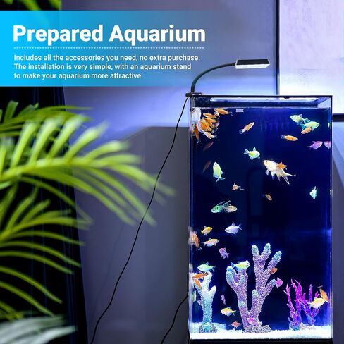 Aquadock 12 جالون حوض أسماك أكريليك مستطيل مع حامل وفلتر ومضخة ومصباح، مجموعة أسماك بيتا المبتدئة، مناظر طبيعية إبداعية صديقة للبيئة لديكور المنزل، والباحات وغرفة المعيشة والمكتب والمطبخ in Saudi Arabia