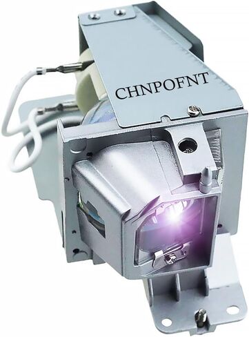 CHNPOFNT BL-FP190D /BL-FP190E /BL-FP195B/SP.8VH01GC01 Replacement Projector Lamp Bulb with Housing for GT1080 HD141X HD26 EH200ST W316 X312 H182X BR323 BR326 DH1008 Projector in Kuwait