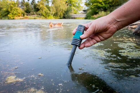 مسبار التوصيل المباشر Vernier Go - قياس دقيق للمحتوى الأيوني | قراءة متزامنة لدرجة الحرارة | مثالية للمختبرات والتجارب والتعليم in Kuwait