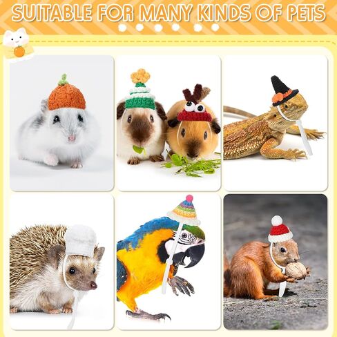 12 Pcs Hamster Hat Mini Hats for Snakes Small Animals Guinea Pig Hat Hamster Clothes Cute Tiny Rat Hat for Snakes Pets Lizards Hamsters Bearded Dragons Holiday Party Costume Accessories (Cute) in Saudi Arabia