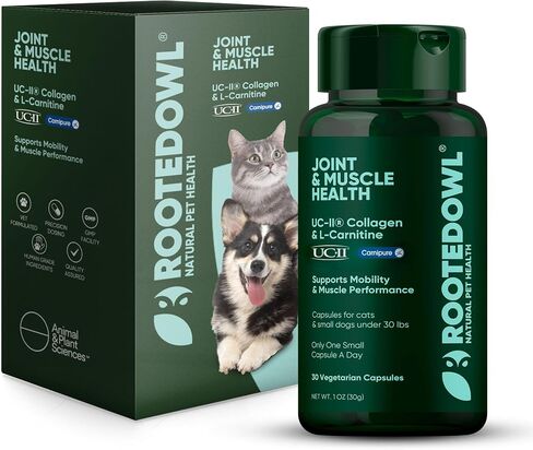 Urinary Support - Echinacea and Cranberry Supplement for Dogs - Dog UTI Prevention - 60/ct in Saudi Arabia