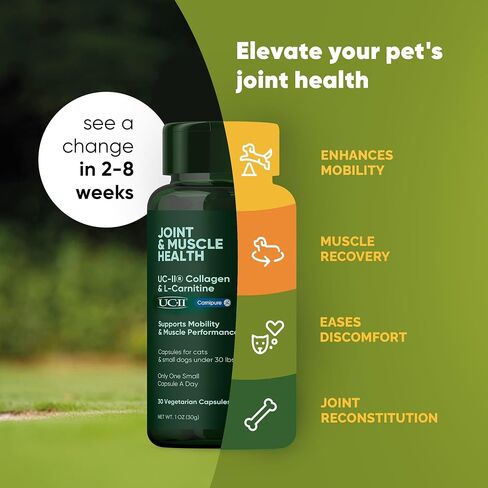 Urinary Support - Echinacea and Cranberry Supplement for Dogs - Dog UTI Prevention - 60/ct in Saudi Arabia
