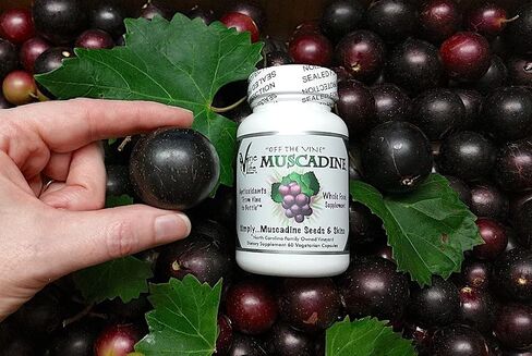 بذور العنب والجلد من VineLife Muscadine 650 مجم - 60 كبسولة نباتية - طعام فائق مضاد للأكسدة - 1300 مجم لكل وجبة - ريسفيراترول طبيعي in Saudi Arabia