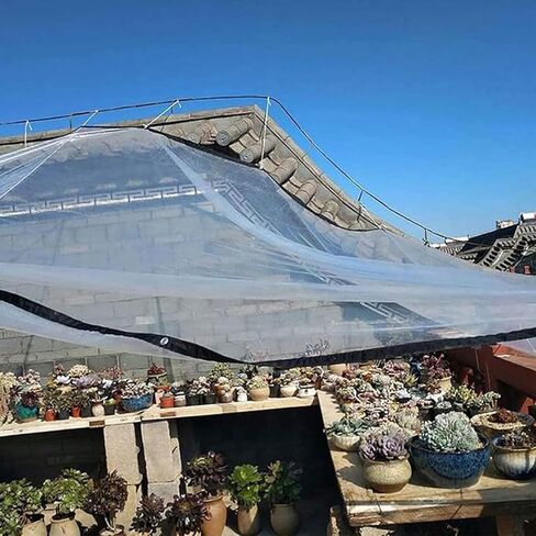 6x11 FT Clear Tarp Waterproof with Grommets,Heavy Duty PVC Vinyl Tarps Cover, Outdoor/Camping/Plant/Garden/Chicken Coop/Cat Litter, Customizable Size Greenhouses Tarp in Saudi Arabia