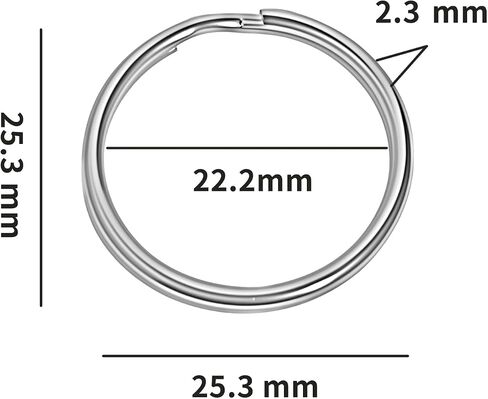 20 Pcs Flat Key Rings for Car Keys, Split Rings for Keychains, Silver Metal Keychain Ring for Crafts Women's Men's Keys Accessories, 1 inch (25mm) Outer Diameter in Saudi Arabia