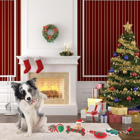 10 Pieces Christmas Dog Toys Gifts Dog Christmas Stocking with Assorted Toys for Puppy Chew Rope Toys for Teething for Small and Medium Dogs in Kuwait