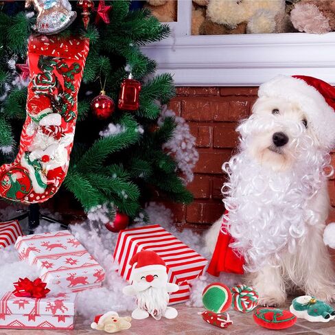 10 Pieces Christmas Dog Toys Gifts Dog Christmas Stocking with Assorted Toys for Puppy Chew Rope Toys for Teething for Small and Medium Dogs in Kuwait