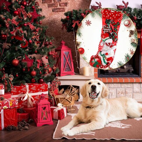 10 Pieces Christmas Dog Toys Gifts Dog Christmas Stocking with Assorted Toys for Puppy Chew Rope Toys for Teething for Small and Medium Dogs in Kuwait