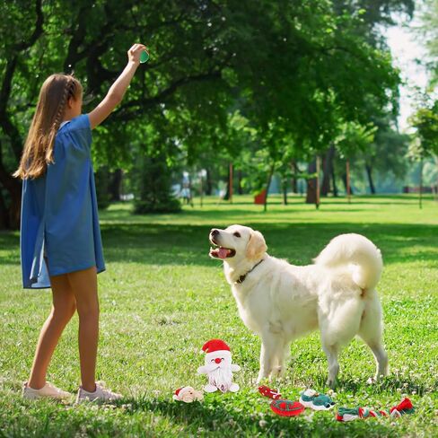 10 Pieces Christmas Dog Toys Gifts Dog Christmas Stocking with Assorted Toys for Puppy Chew Rope Toys for Teething for Small and Medium Dogs in Kuwait