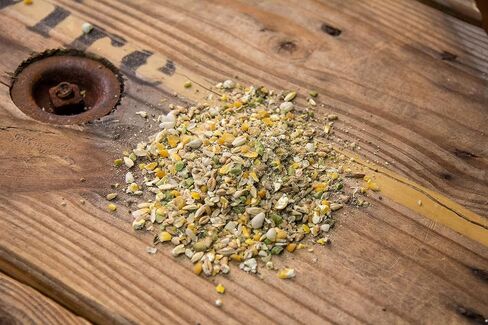New Country Organics I علف عضوي لنمو البط I 19% بروتين I غذاء بط عضوي وخالي من الصويا من أجل نمو صحي | مثالية للبط البري والحيوانات الأليفة | يمنع Angel Wing I 40 رطلاً in Kuwait