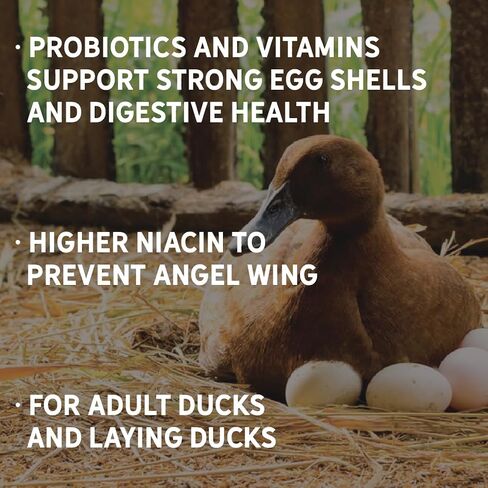 New Country Organics I علف عضوي لنمو البط I 19% بروتين I غذاء بط عضوي وخالي من الصويا من أجل نمو صحي | مثالية للبط البري والحيوانات الأليفة | يمنع Angel Wing I 40 رطلاً in Kuwait