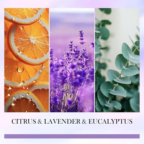 Travel Gifts for Women, Gifts for Travelers, Best Present for People Who Travel, Unique International Traveler Planner Vacation Retirement Present Candle for Women, Her, Couple, Friend in Saudi Arabia