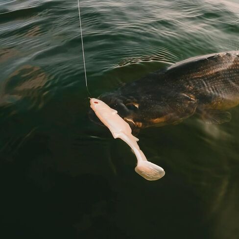 BASS MAFIA DAINGEROUS SWIMBAIT 7" Texas Gizzard in Saudi Arabia