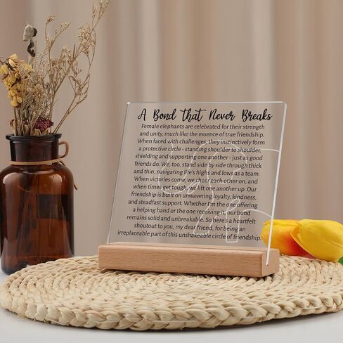 Funnli Boss Day Gifts for Women Men, Boss Lady Gifts for Women Acrylic Plaque, Boss Gifts for Women Men, Best Thank You Gifts for Female Boss, Boss Inspirational Gifts Appreciation Keepsake in Kuwait