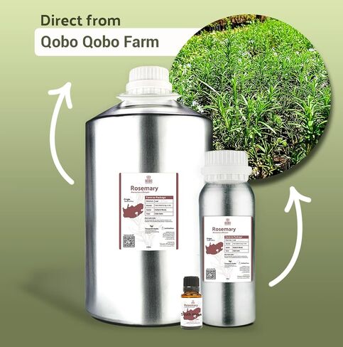 Organic Cinnamon Essential Oil - Direct from Sri Lankan Essential Oils - Cinnamon Essential Oil - Bulk Cinnamon Oil - Organic Cinnamon Oil - Cinnamon Leaf Essential Oil (15 mL) in Kuwait