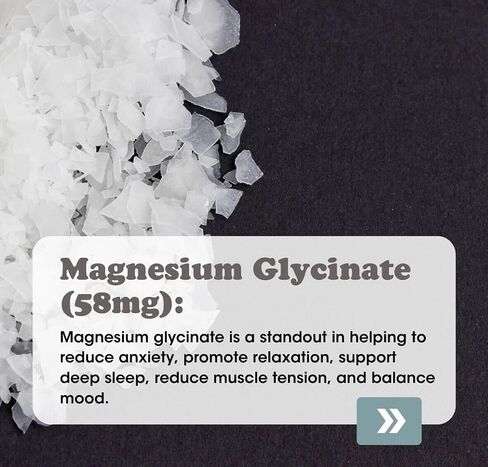 Fringe Electrolyte and Mineral Mix, Pure Ocean Sea Salt for Rehydration, Potassium Chloride, Magnesium Malate for Muscle Tension, Trace Minerals for Essentials, Unflavored, 30 Servings in Saudi Arabia