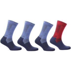 NORFOLK Leonardo Hiking, Trekking Merino Wool Mid Weight Cushioned Crew Diabetic friendly Socks, for Men and Women, 4 pack in Saudi Arabia