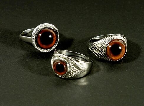 خاتم جريء للرجال أو النساء من شركة Steel Dragon Jewellers مع اختيارك من 21 عين حيوان أو خيال أو عين شريرة (شاهد مقاطع فيديو لكل حلقة) in Kuwait