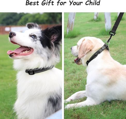 طوق كلب كلاسيكي عاكس (صغير، أخضر هنتر) in Kuwait