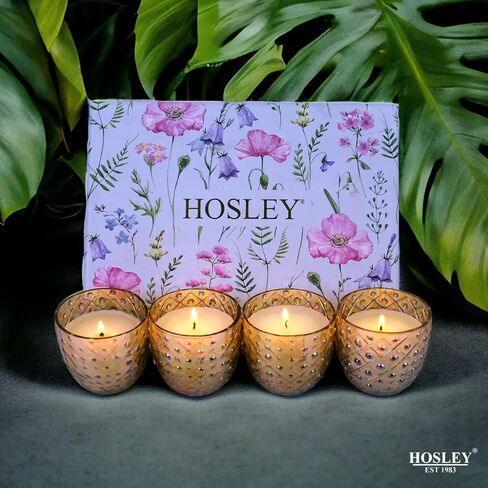 Hosley Fragrance Gift Set - 4 Gold Glass Scented Candles with Ceramic Incense Holder, 20 Incense Sticks & Rose Petal Bag for Meditation, Aromatherapy, Spa, Wedding in Saudi Arabia