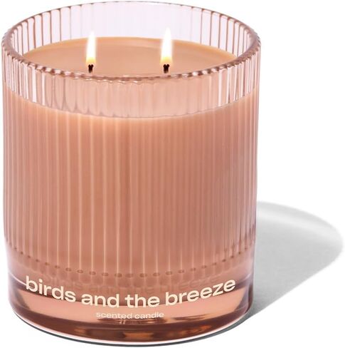 Sweet Ash Scented Candle by Snif, Low-Key Sweet and Earthy Scent, 50+ Hours, 100% Cotton Fiber Wicks, Soy Wax Blend, Non-Toxic, Vegan, 8.5 oz in Saudi Arabia