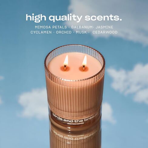 Sweet Ash Scented Candle by Snif, Low-Key Sweet and Earthy Scent, 50+ Hours, 100% Cotton Fiber Wicks, Soy Wax Blend, Non-Toxic, Vegan, 8.5 oz in Saudi Arabia