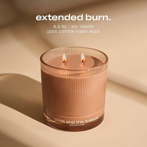 Sweet Ash Scented Candle by Snif, Low-Key Sweet and Earthy Scent, 50+ Hours, 100% Cotton Fiber Wicks, Soy Wax Blend, Non-Toxic, Vegan, 8.5 oz in Saudi Arabia