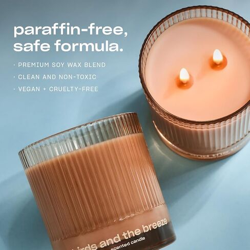 Sweet Ash Scented Candle by Snif, Low-Key Sweet and Earthy Scent, 50+ Hours, 100% Cotton Fiber Wicks, Soy Wax Blend, Non-Toxic, Vegan, 8.5 oz in Saudi Arabia