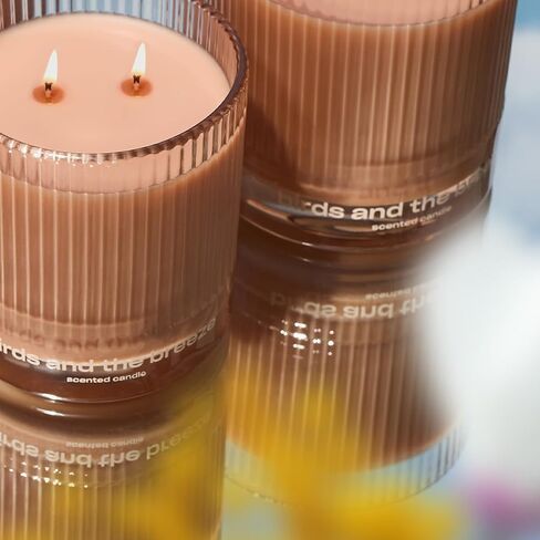 Sweet Ash Scented Candle by Snif, Low-Key Sweet and Earthy Scent, 50+ Hours, 100% Cotton Fiber Wicks, Soy Wax Blend, Non-Toxic, Vegan, 8.5 oz in Saudi Arabia
