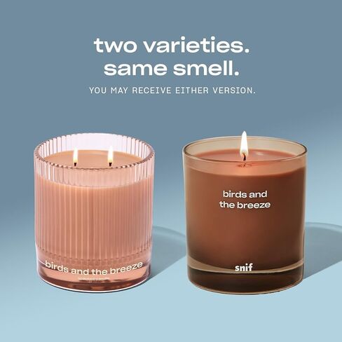 Sweet Ash Scented Candle by Snif, Low-Key Sweet and Earthy Scent, 50+ Hours, 100% Cotton Fiber Wicks, Soy Wax Blend, Non-Toxic, Vegan, 8.5 oz in Saudi Arabia