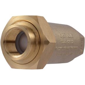 Cash Acme BF10101 1 Inch BF1 Dual Check Valve, Female Unions, 1