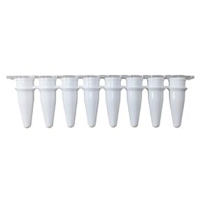 DSC MTC Bio P3802-QW PureAmp™ 0.2mL White qPCR Strip Tubes - Ultra-Thin, High Reflectivity, Certified RNase/DNase/DNA/PCR Inhibitor-Free, Medical-Grade Polypropylene