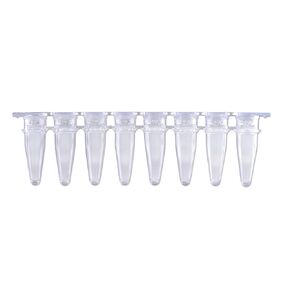 DSC MTC Bio P3802-Q PureAmp™ Premium qPCR Strip Tubes, 0.2mL, Natural/Clear, Ultra-Thin Wall, RNase/DNase-Free, Optimal Fluorescence - Ideal for Precise PCR Results (Pack of 125 Strips)