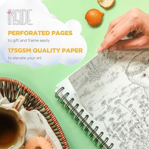 ColorIt الريف: الأكواخ الملونة والخلوات الريفية كتاب تلوين للكبار، 50 رسمًا توضيحيًا لمشاهد الريف، ورق سميك، ورق مثقوب، غطاء صلب مسطح، ورق نشاف الحبر in Kuwait